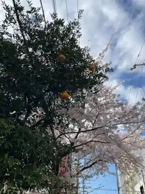 稲荷神社(兵庫県)