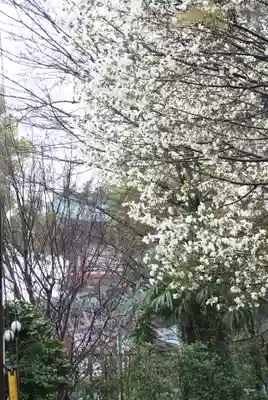 多摩川浅間神社(東京都)