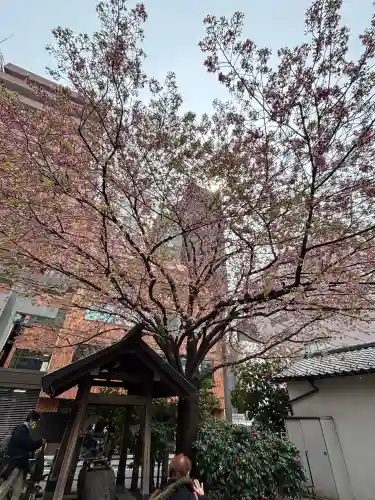 蔵前神社の{uncategorized: "未分類", other: "その他", undefined: "問題あり", building: "その他建物", grave: "お墓", sacred_gate: "鳥居", guardian: "狛犬", statue: "像", buddha: "仏像", history: "歴史", nature: "自然", garden: "庭園", animal: "動物", pagoda: "塔", temizu: "手水舎", mountain_gate: "山門・神門", sanctuary: "本殿・本堂", subordinate: "末社・摂社", art: "芸術", scenery: "景色", jizo: "地蔵", ema: "絵馬", goshuin: "御朱印", omikuji: "おみくじ", items: "授与品その他", amulet: "お守り", goshuincho: "御朱印帳", eats: "食事", festival: "お祭り", votive_dance: "神楽", shichigosan: "七五三参", wedding: "結婚式", experience: "体験その他", initially: "初詣", around: "周辺", anti_infection: "感染症対策"}