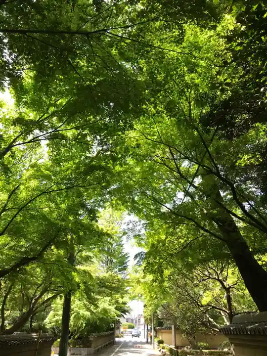 宝珠山 観泉寺の自然