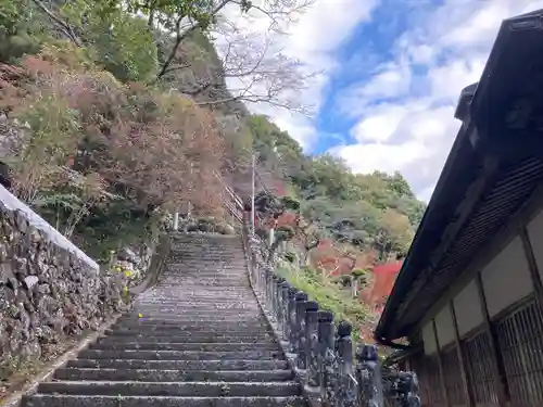 金剛城寺(兵庫県)