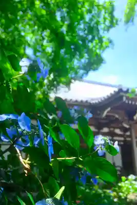 高幡不動尊　金剛寺(東京都)