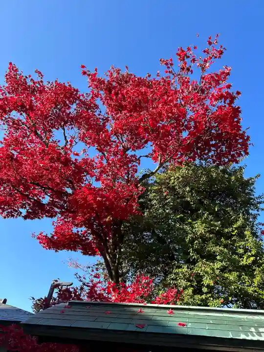 日光山輪王寺三仏堂の周辺