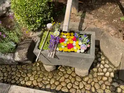 八幡山観音寺(神奈川県)