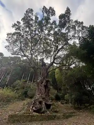 武雄神社(佐賀県)