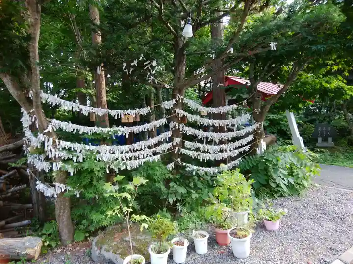 南豪神社のおみくじ