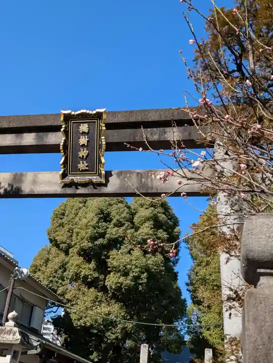 橘樹神社の御朱印
