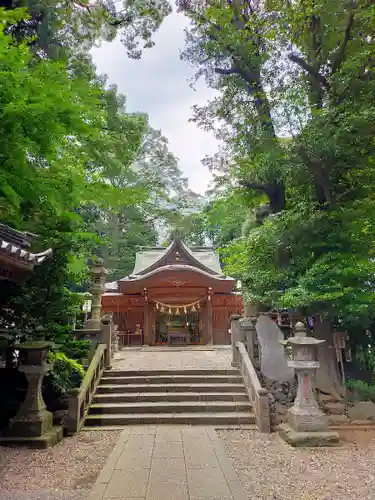 岩槻久伊豆神社の本殿