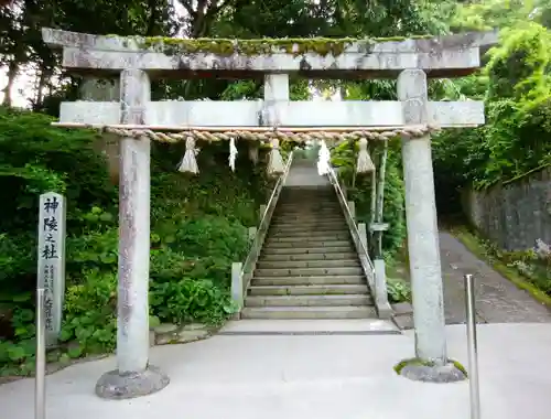 玉作湯神社の鳥居