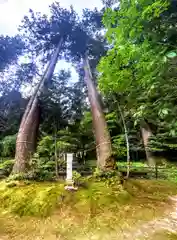 粟鹿神社(兵庫県)