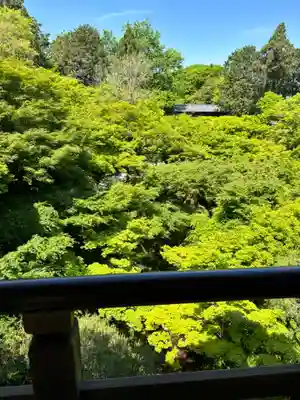 東福禅寺(東福寺)(京都府)