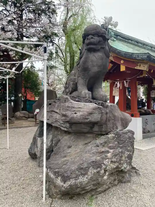 浅草神社の狛犬