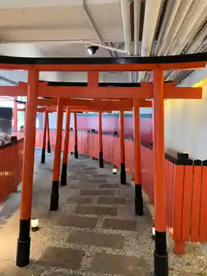 葵稲荷大神の鳥居