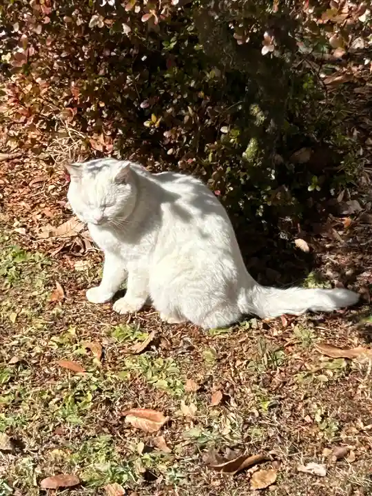 東蕗田天満社(茨城県)