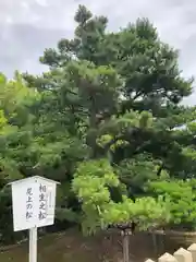 尾上神社(兵庫県)