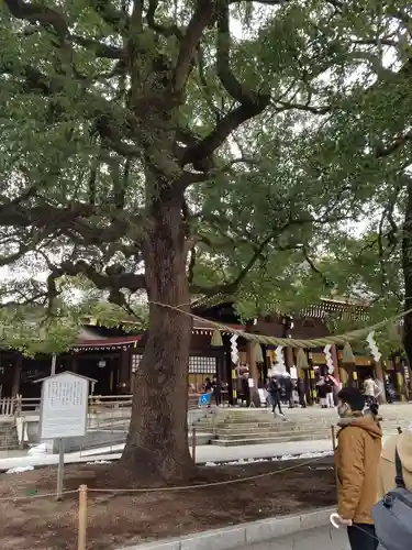 明治神宮の自然