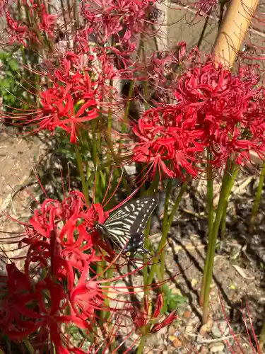 住吉神社(兵庫県)