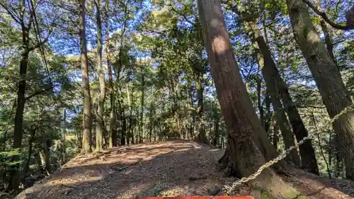 醍醐寺（上醍醐）(京都府)