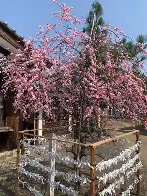 貴船神社の自然