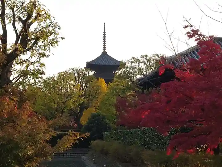 東寺(教王護国寺)(京都府)