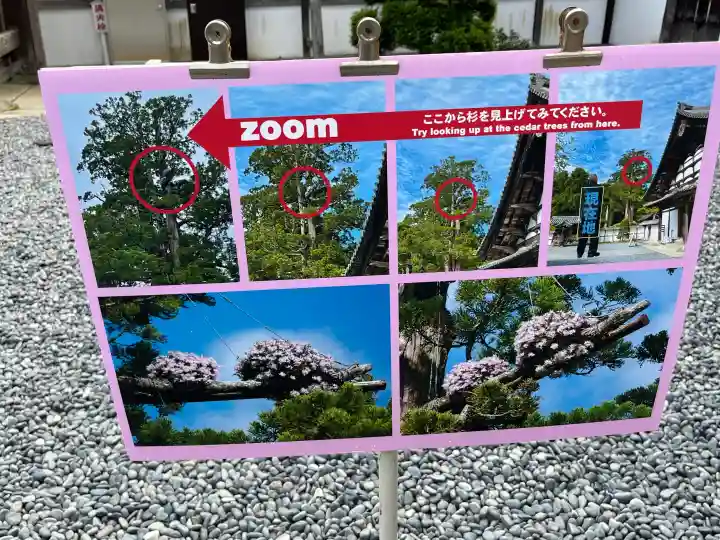 瑞巌寺(宮城県)