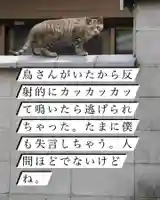 専念寺(大阪府)