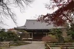 観泉寺の本殿
