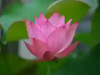 極楽山 浄土寺(北海道)