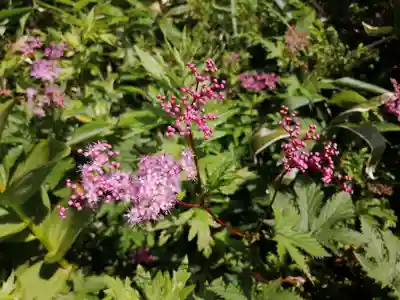 飯森神社奥社(長野県)