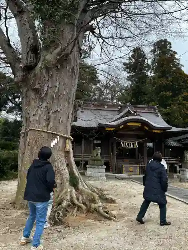 素鵞神社の{uncategorized: "未分類", other: "その他", undefined: "問題あり", building: "その他建物", grave: "お墓", sacred_gate: "鳥居", guardian: "狛犬", statue: "像", buddha: "仏像", history: "歴史", nature: "自然", garden: "庭園", animal: "動物", pagoda: "塔", temizu: "手水舎", mountain_gate: "山門・神門", sanctuary: "本殿・本堂", subordinate: "末社・摂社", art: "芸術", scenery: "景色", jizo: "地蔵", ema: "絵馬", goshuin: "御朱印", omikuji: "おみくじ", items: "授与品その他", amulet: "お守り", goshuincho: "御朱印帳", eats: "食事", festival: "お祭り", votive_dance: "神楽", shichigosan: "七五三参", wedding: "結婚式", experience: "体験その他", initially: "初詣", around: "周辺", anti_infection: "感染症対策"}