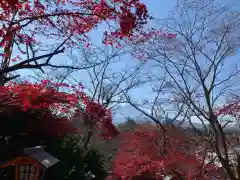 新倉富士浅間神社の自然