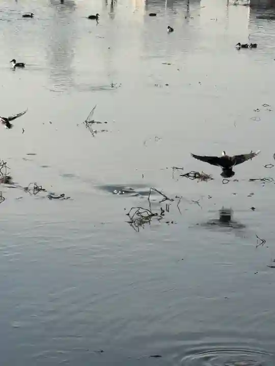 大年神社(兵庫県)