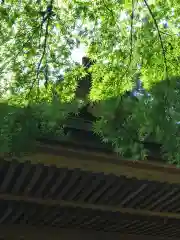 側高神社(千葉県)