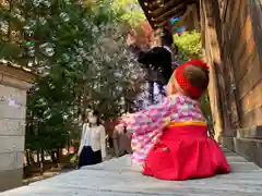 滑川神社 - 仕事と子どもの守り神の七五三参