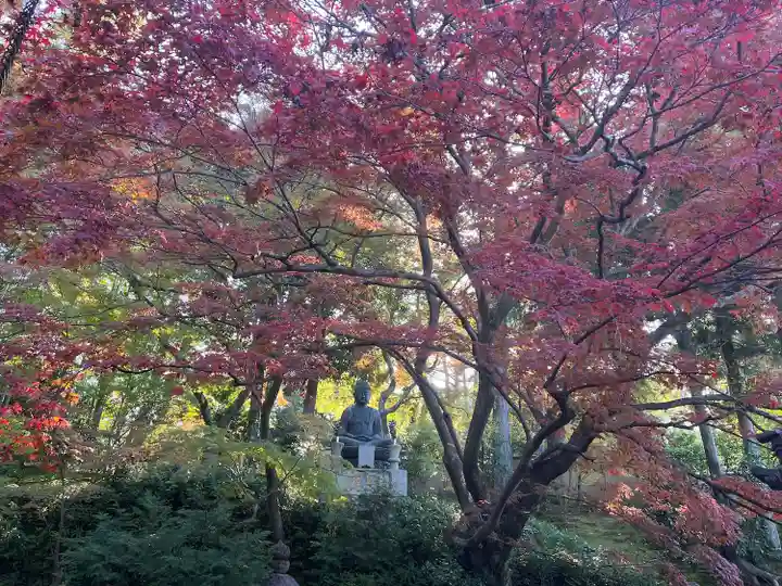 榮攝院(栄摂院)(京都府)