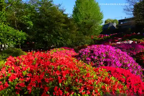 根津神社(東京都)