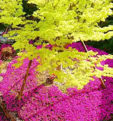寿量山 速成寺(奈良県)