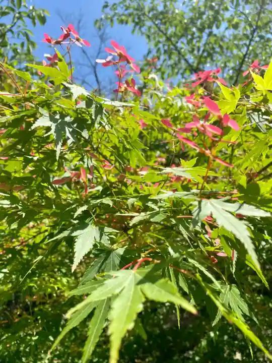 京都乃木神社(京都府)