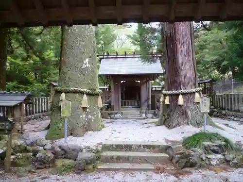 鳴谷神社の本殿・本堂