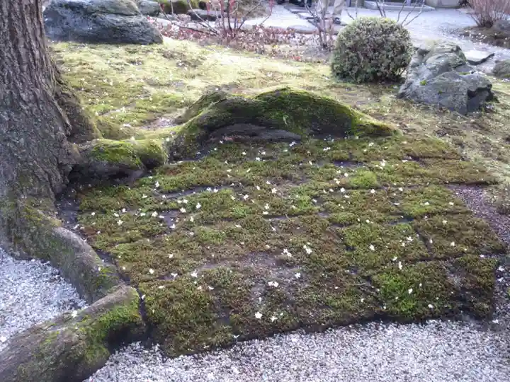 本満寺(本願満足寺)の庭園