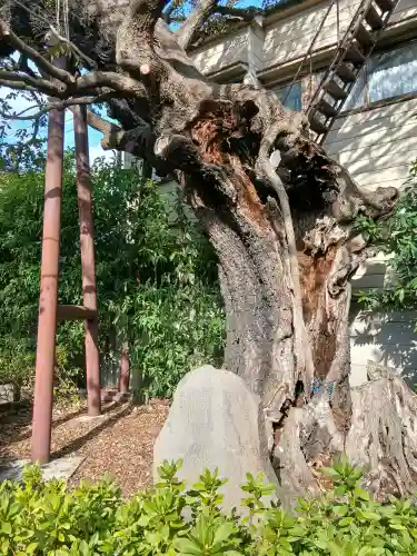 延命院(東京都)
