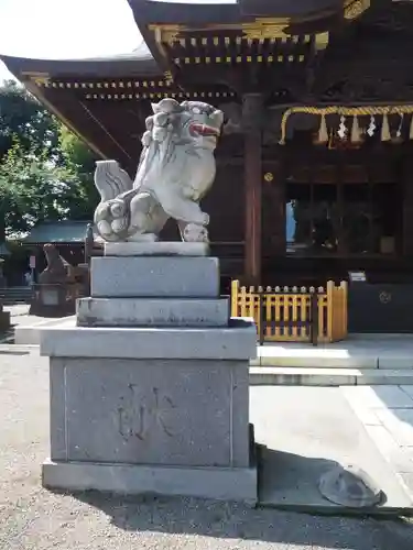赤羽八幡神社の狛犬