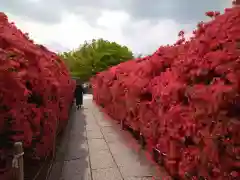 長岡天満宮の庭園