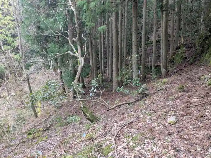 井戸神社の{uncategorized: "未分類", other: "その他", undefined: "問題あり", building: "その他建物", grave: "お墓", sacred_gate: "鳥居", guardian: "狛犬", statue: "像", buddha: "仏像", history: "歴史", nature: "自然", garden: "庭園", animal: "動物", pagoda: "塔", temizu: "手水舎", mountain_gate: "山門・神門", sanctuary: "本殿・本堂", subordinate: "末社・摂社", art: "芸術", scenery: "景色", jizo: "地蔵", ema: "絵馬", goshuin: "御朱印", omikuji: "おみくじ", items: "授与品その他", amulet: "お守り", goshuincho: "御朱印帳", eats: "食事", festival: "お祭り", votive_dance: "神楽", shichigosan: "七五三参", wedding: "結婚式", experience: "体験その他", initially: "初詣", around: "周辺", anti_infection: "感染症対策"}
