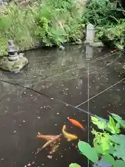 銭洗弁財天宇賀福神社(神奈川県)