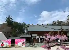 櫻木神社の建物その他