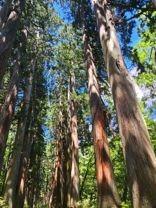 戸隠神社奥社(長野県)