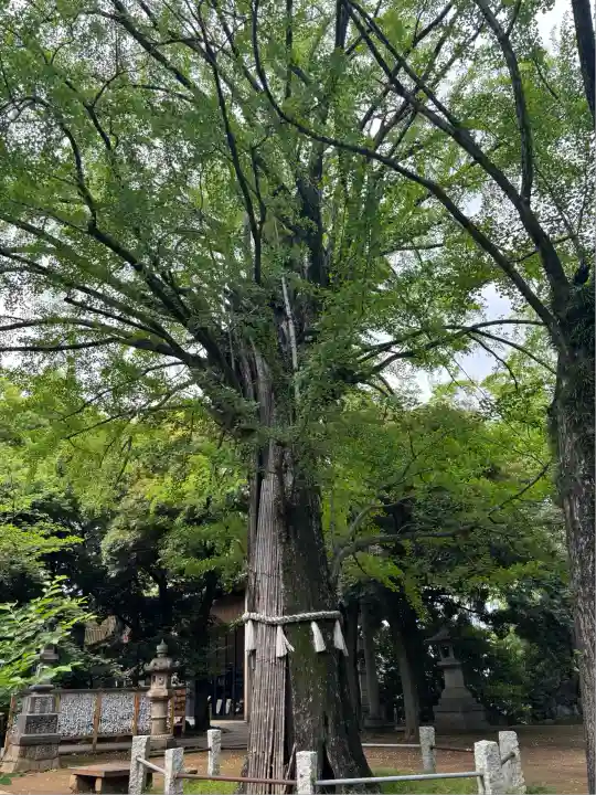 赤坂氷川神社(東京都)