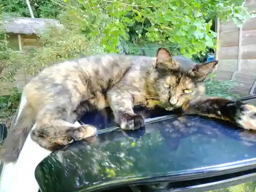 小松寺(千葉県)