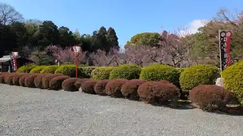 隨心院（随心院）(京都府)